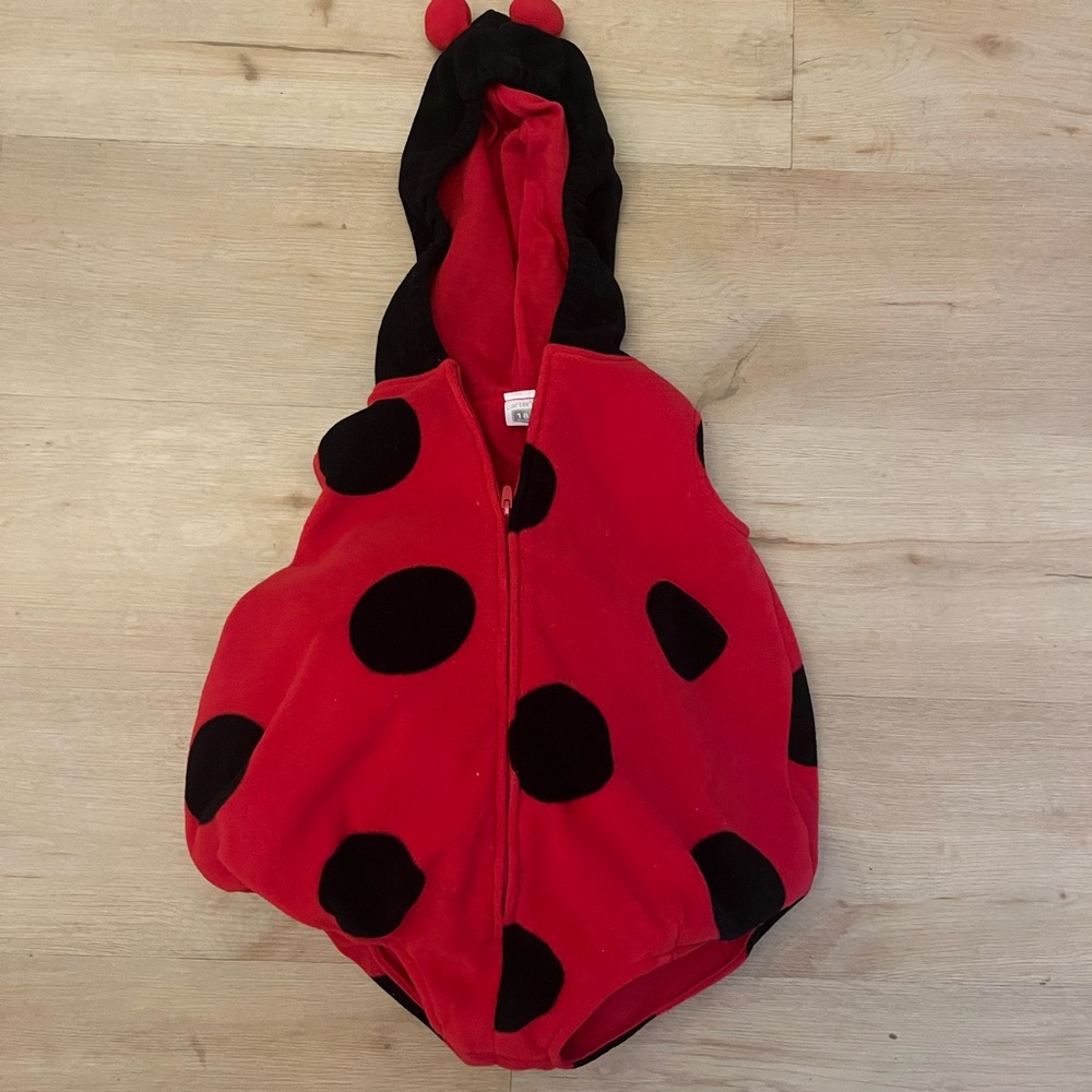 Carter's Red and Black Ladybug Outfit